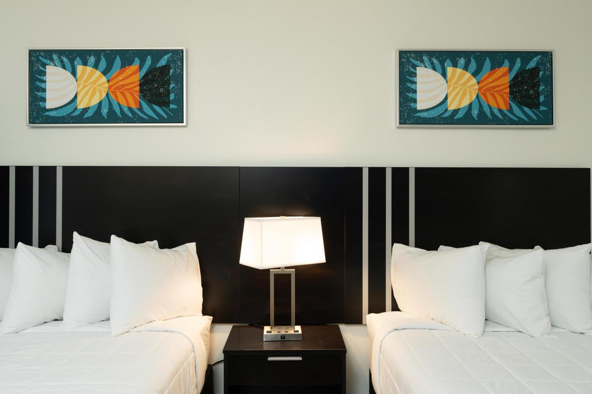 Oasis Bay Suites, Tampa, Busch Gardens, Usf المظهر الخارجي الصورة