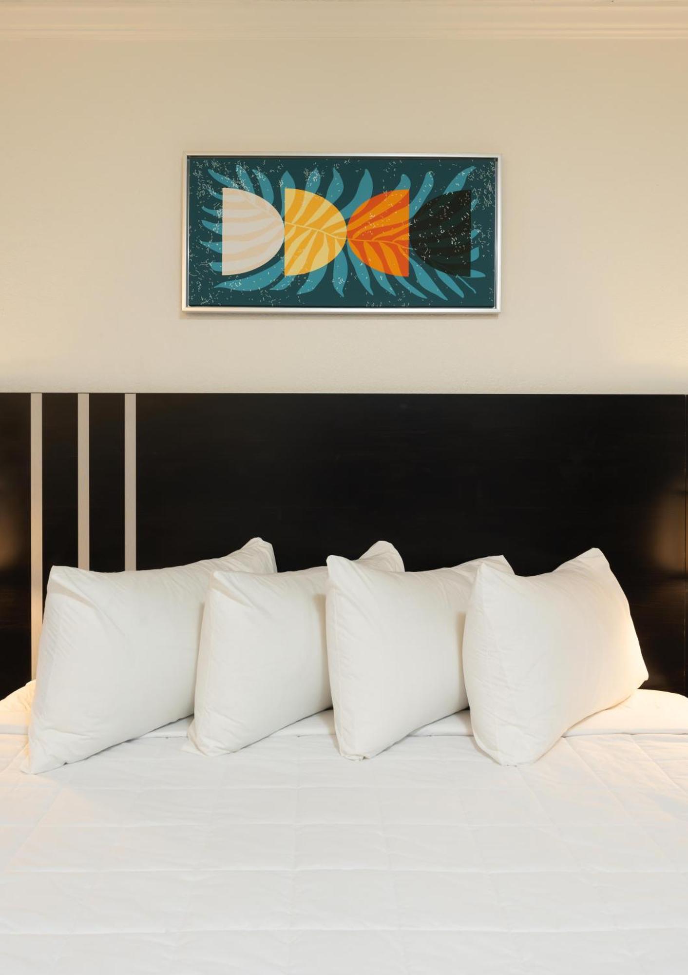 Oasis Bay Suites, Tampa, Busch Gardens, Usf المظهر الخارجي الصورة