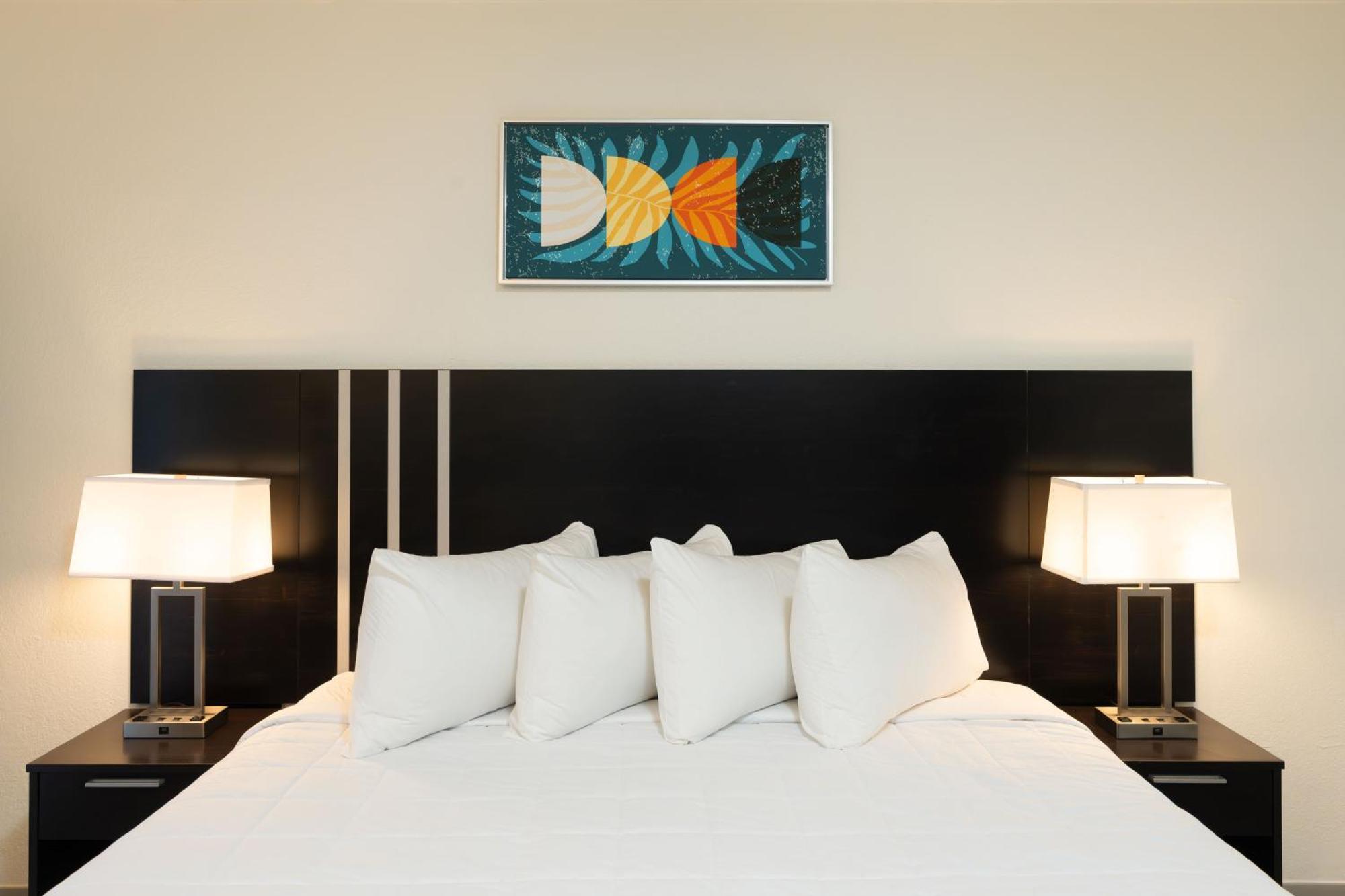 Oasis Bay Suites, Tampa, Busch Gardens, Usf المظهر الخارجي الصورة