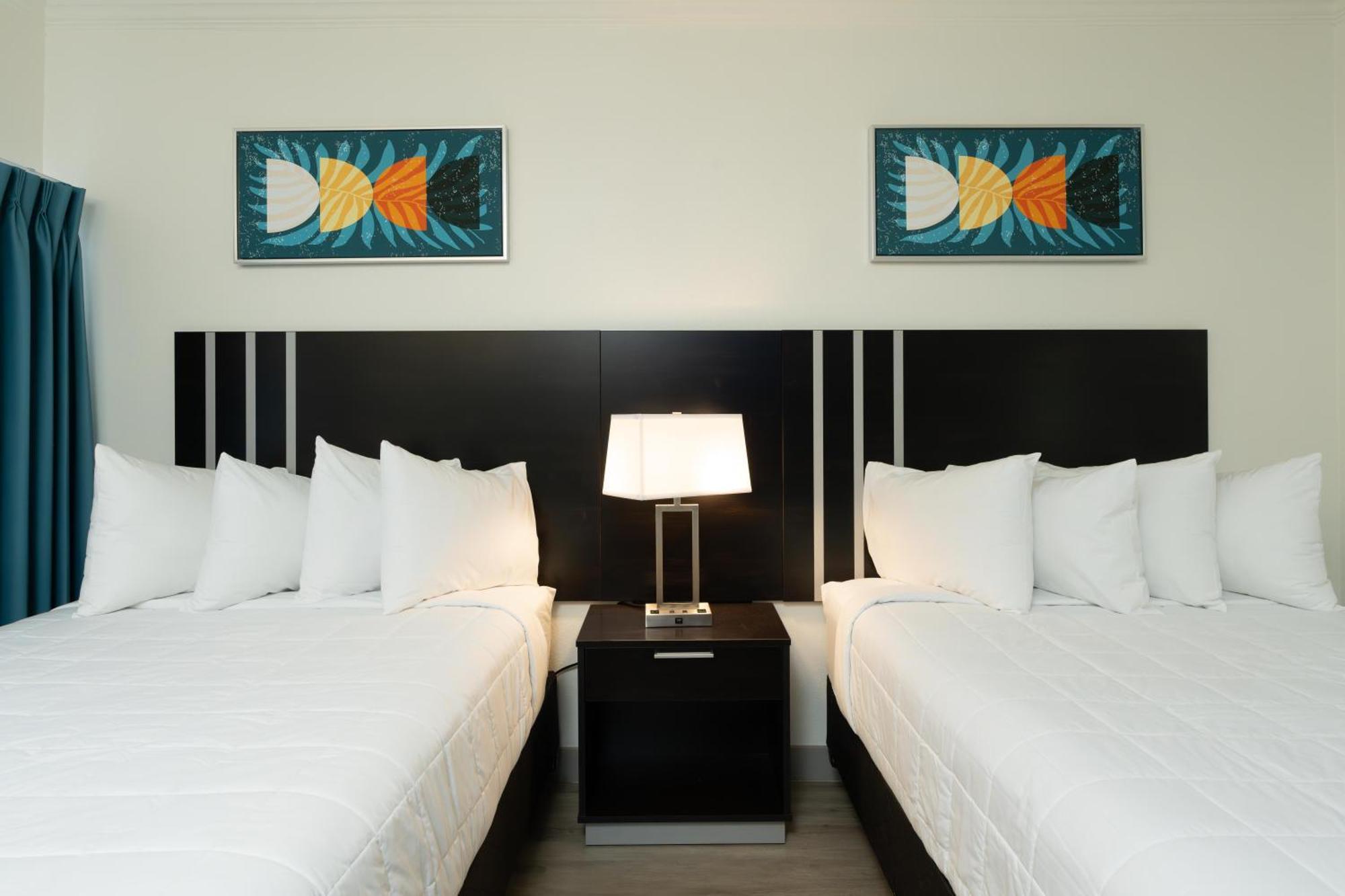 Oasis Bay Suites, Tampa, Busch Gardens, Usf المظهر الخارجي الصورة