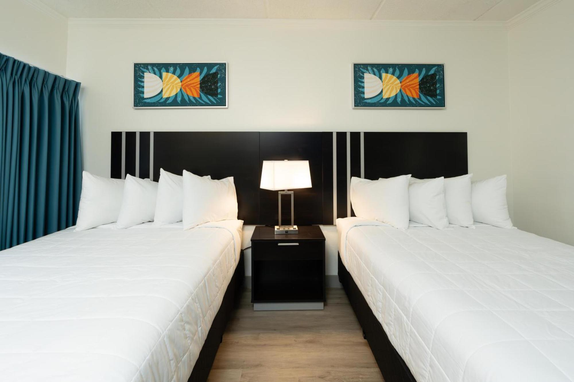 Oasis Bay Suites, Tampa, Busch Gardens, Usf المظهر الخارجي الصورة