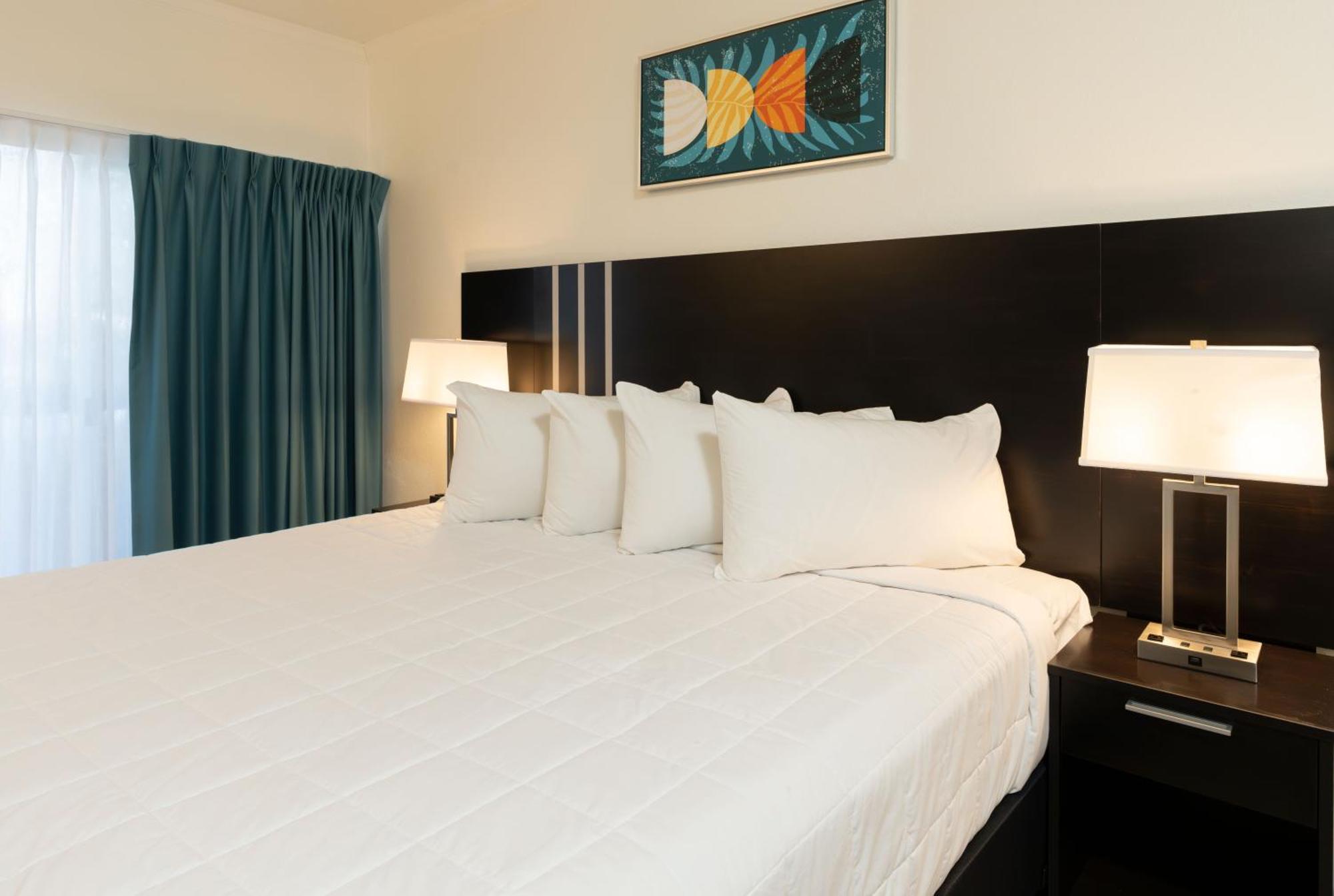 Oasis Bay Suites, Tampa, Busch Gardens, Usf المظهر الخارجي الصورة